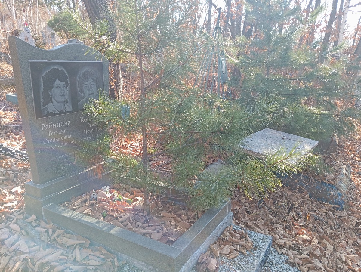Рябина Татьяна Степановна