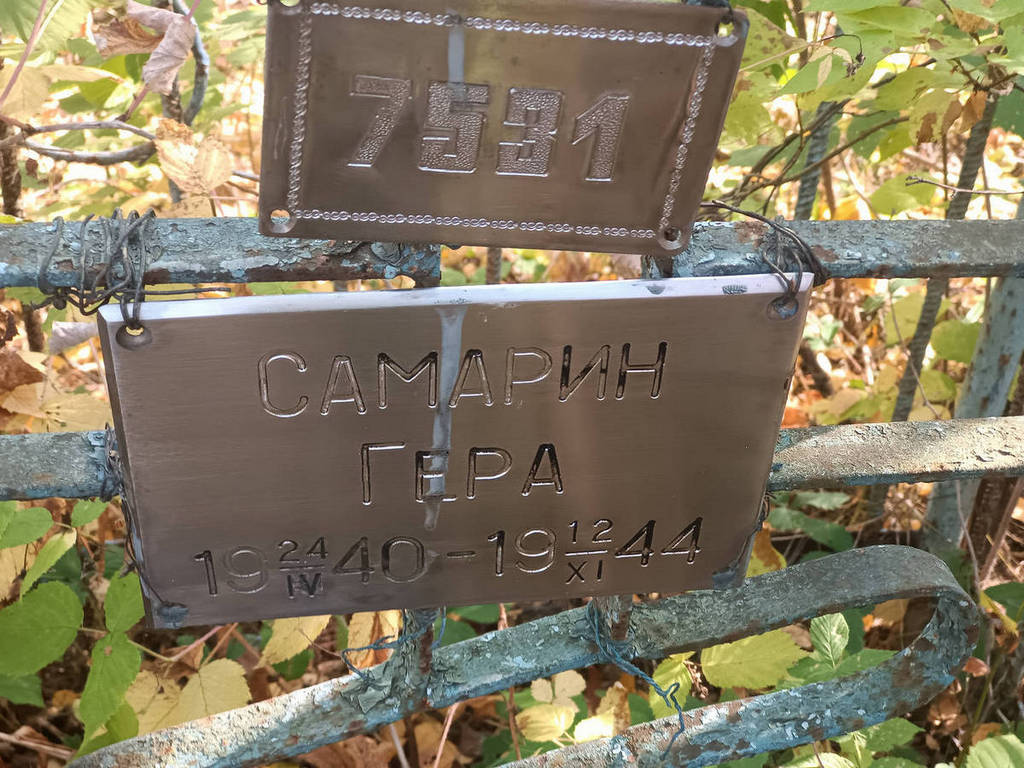 Самарин Георгий