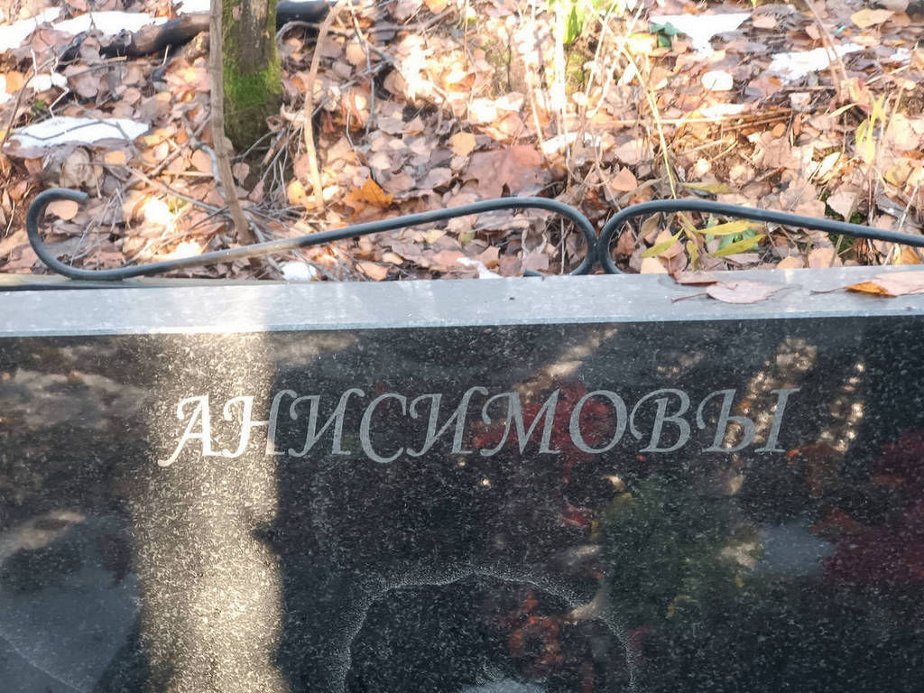 Анисимов Дмитрий Александрович