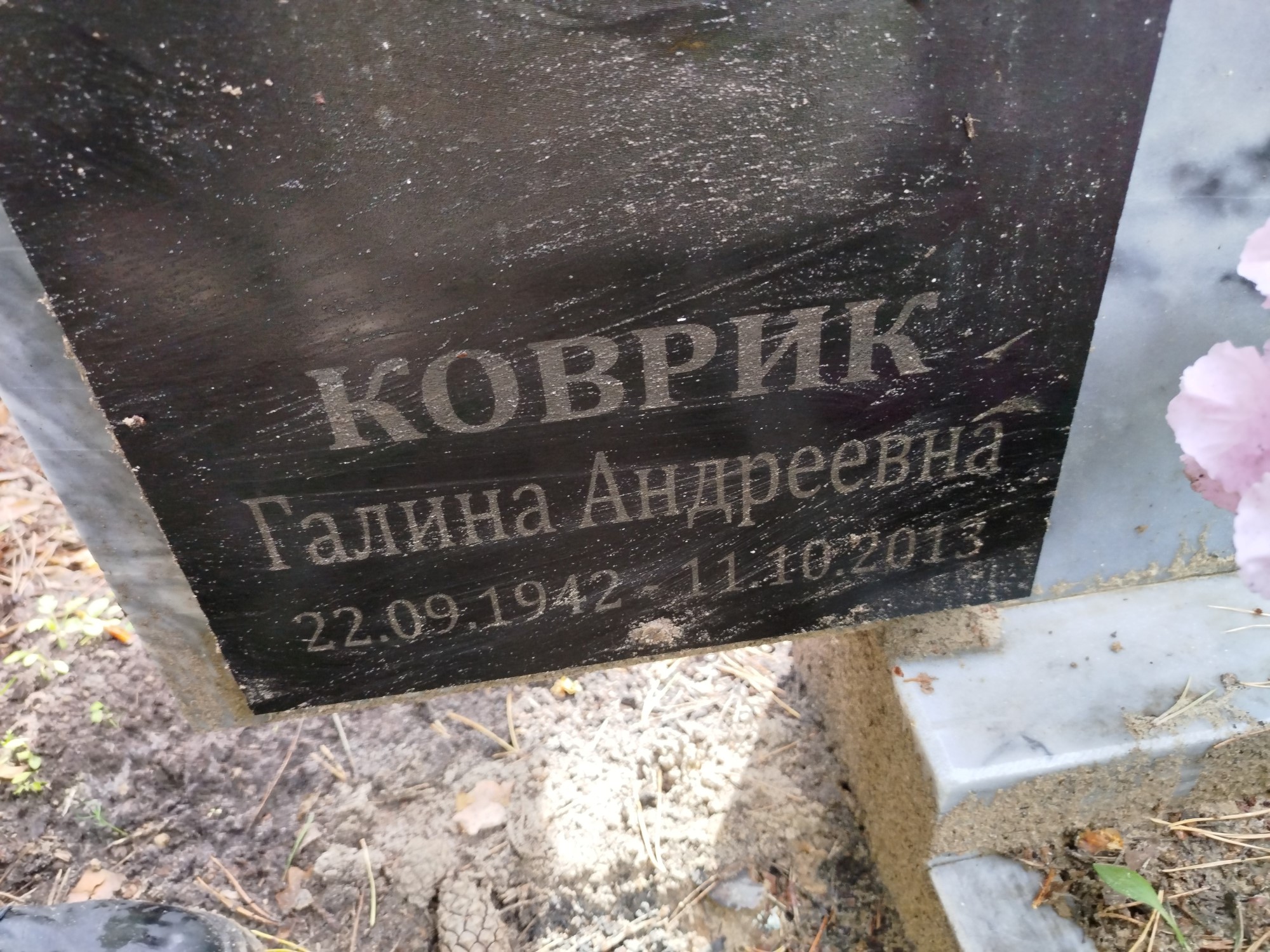 Коврик Галина Андреевна