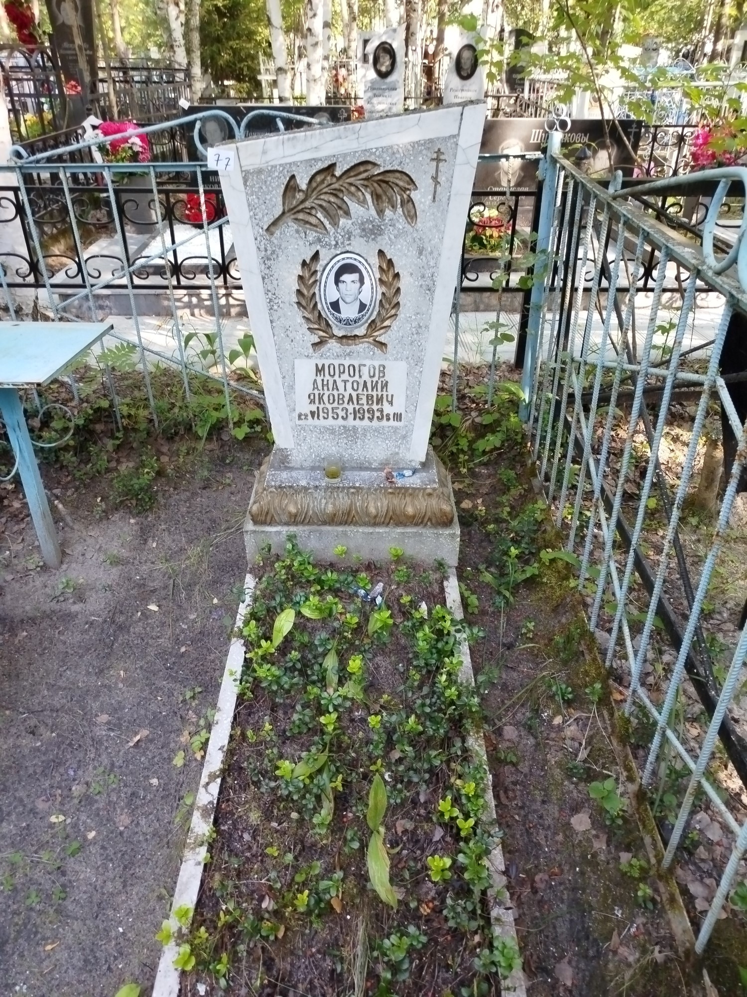 Морогов Анатолий Яковлевич
