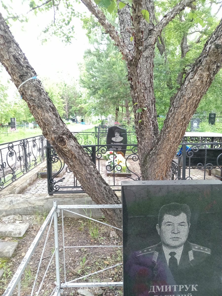 Дмитрук Василий Павлович