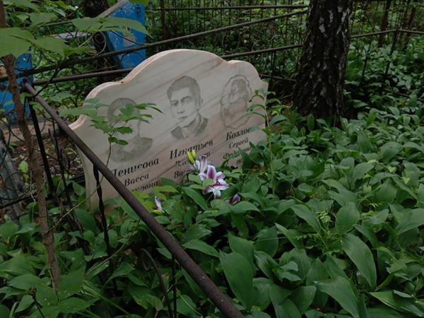 Игнатьев Владимир Васильевич