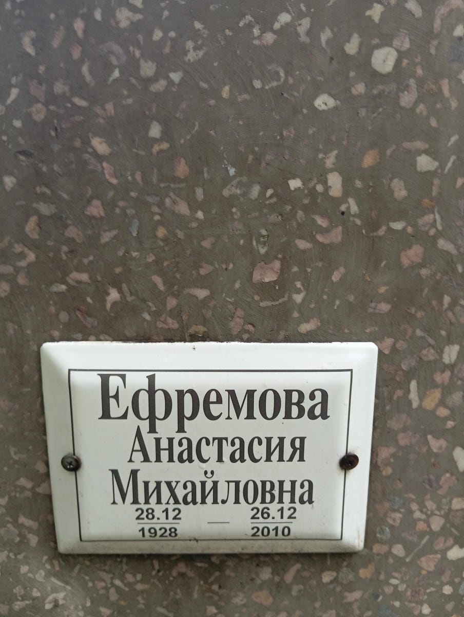 Ефремова Анастасия Михайловна