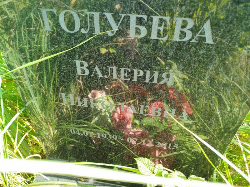 Голубева Валерия Николаевна
