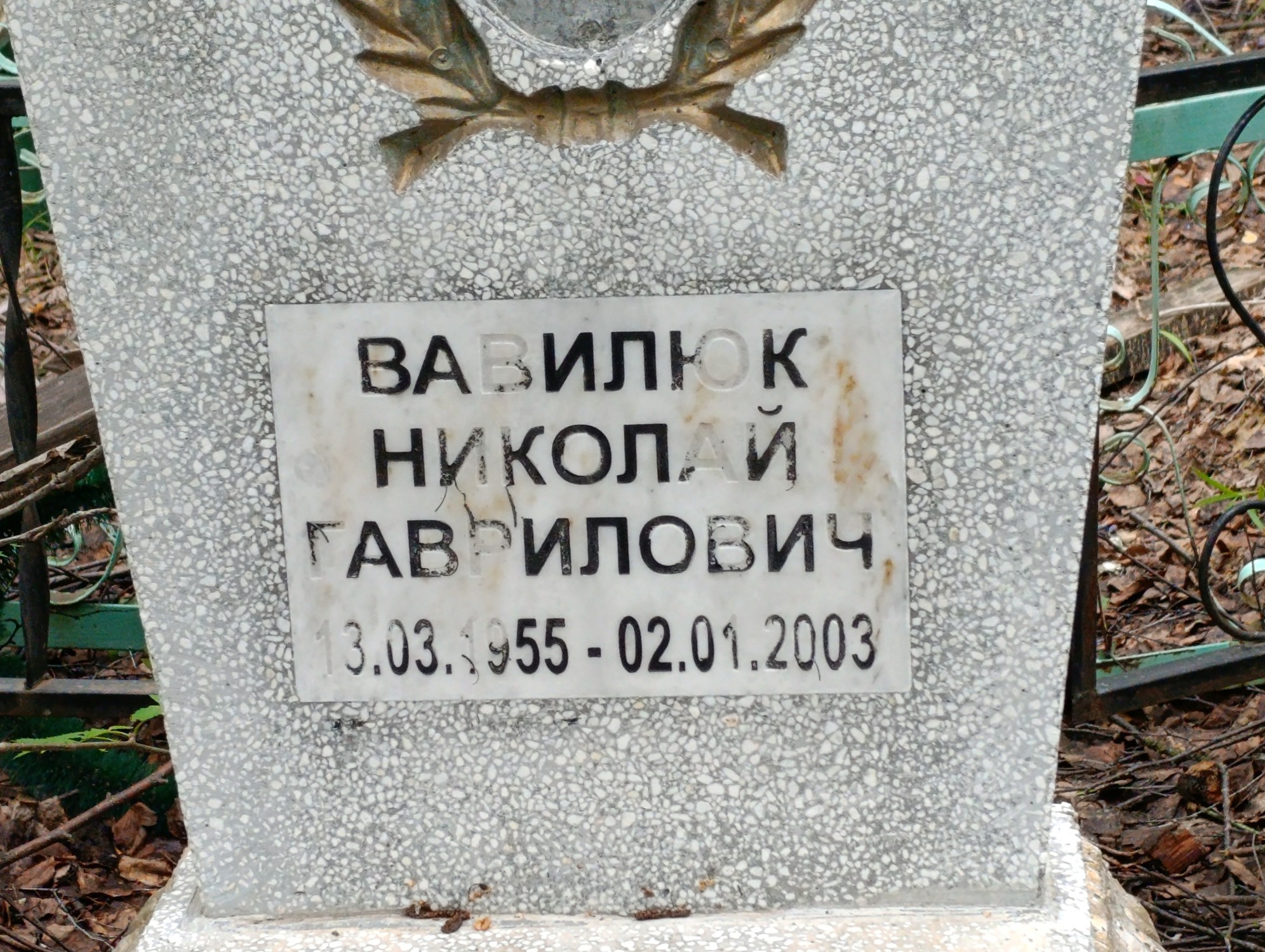 Вавилюк Николай Гаврилович