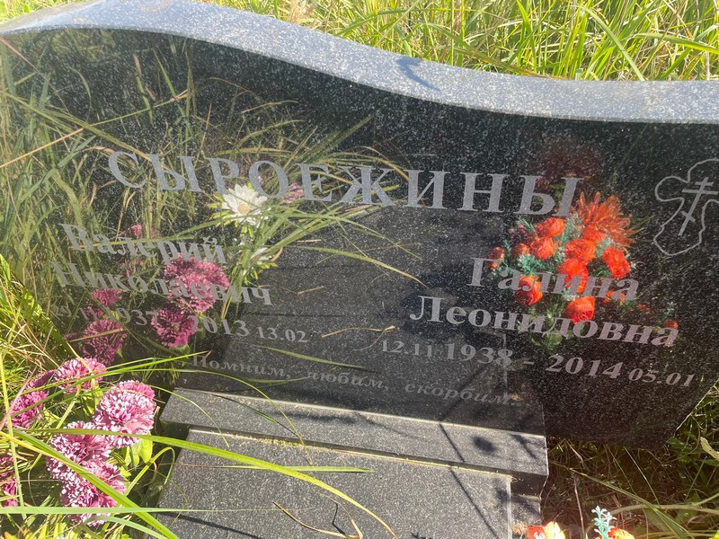 Сыроежина