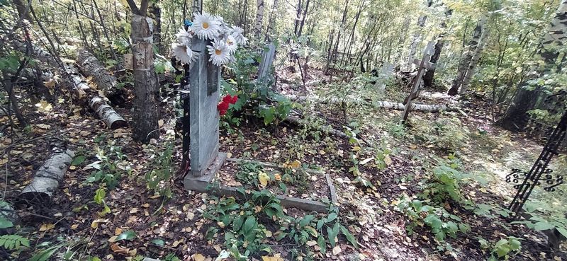 Кошкина Анна Павловна