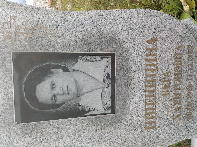 Пшеницина