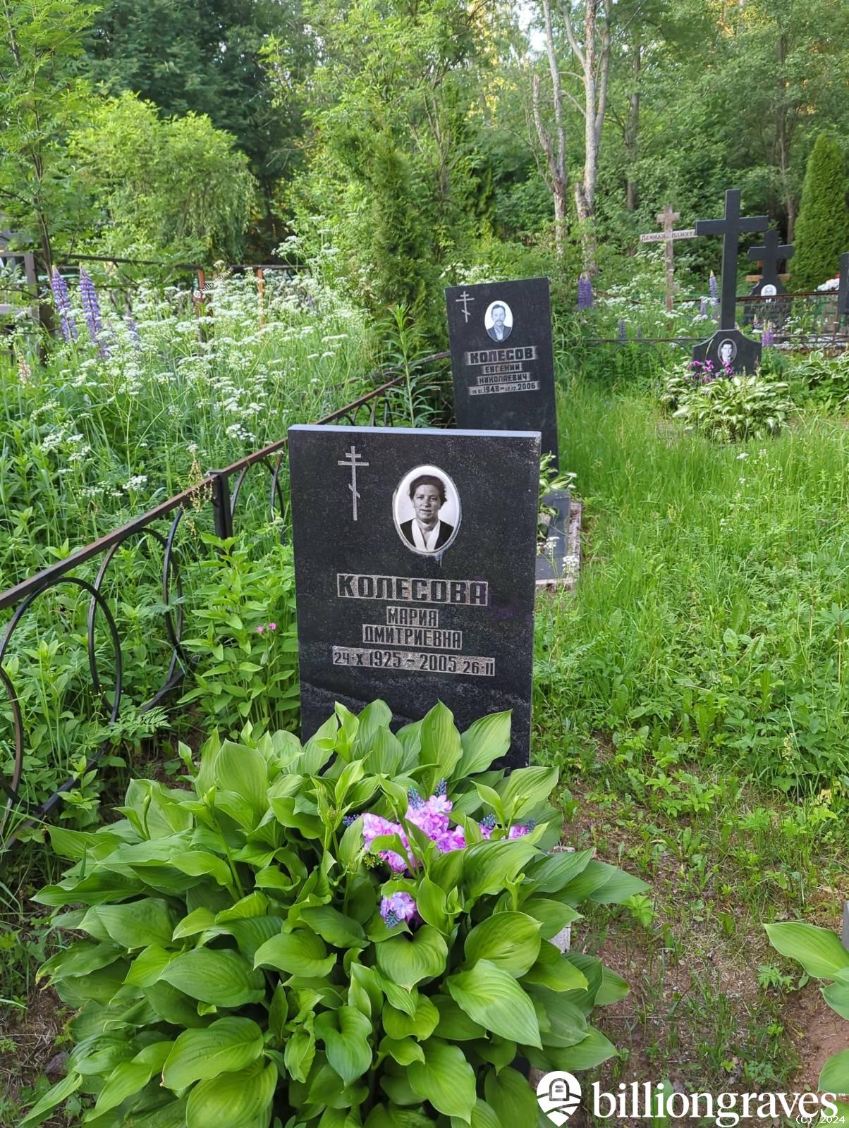 Колесова Мария Дмитриевна