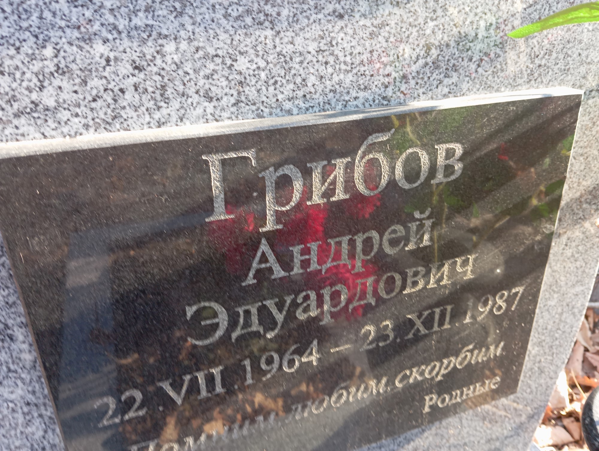 Грибов Андрей Эдуардович