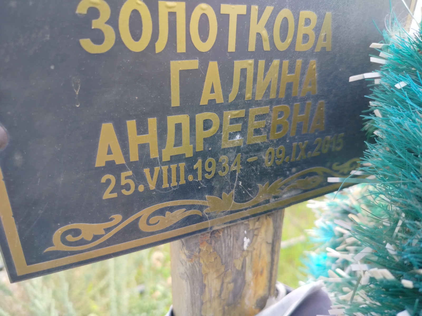 Золоткова Галина Андреевна
