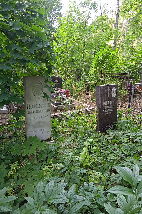 Потемкин Иван Иванович