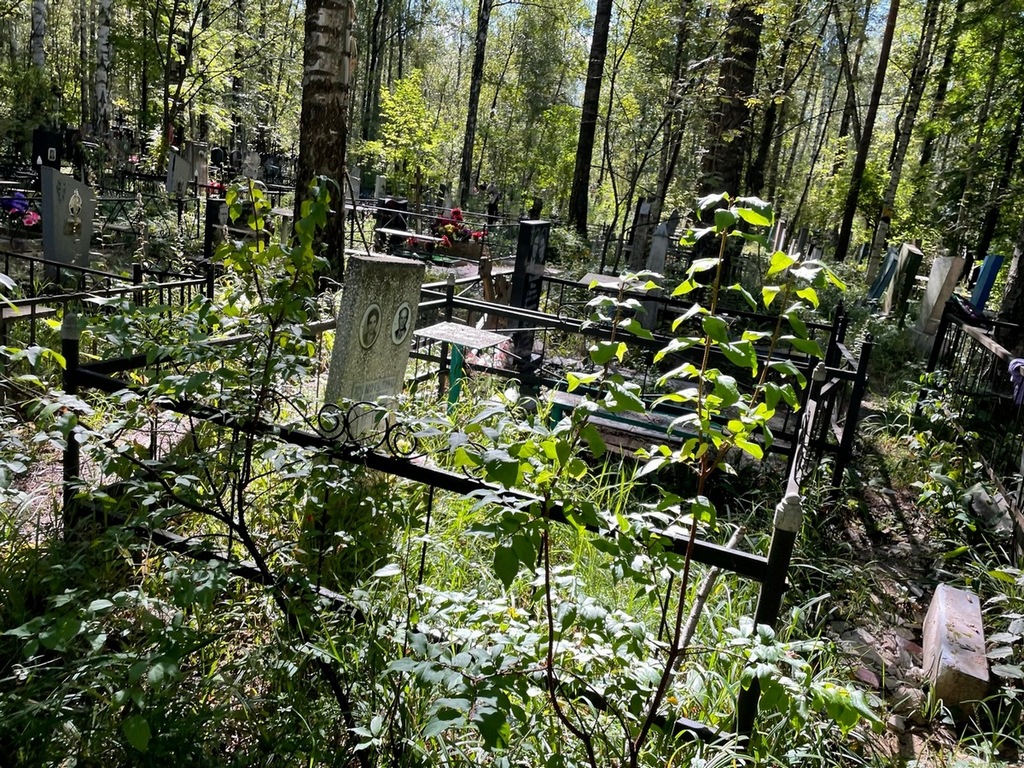 Рахматулина Анастасия Федоровна