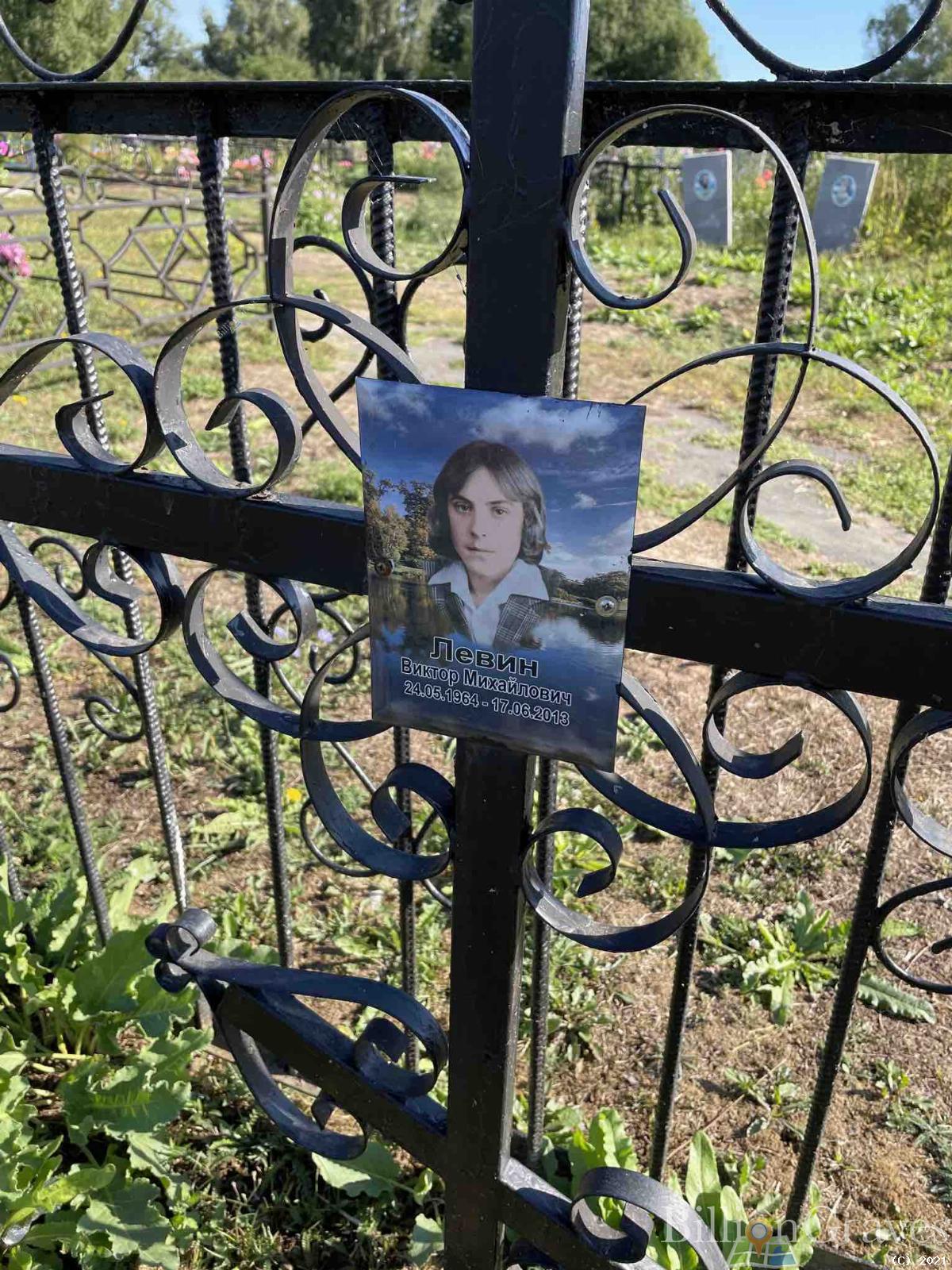 Левин Виктор Михайлович