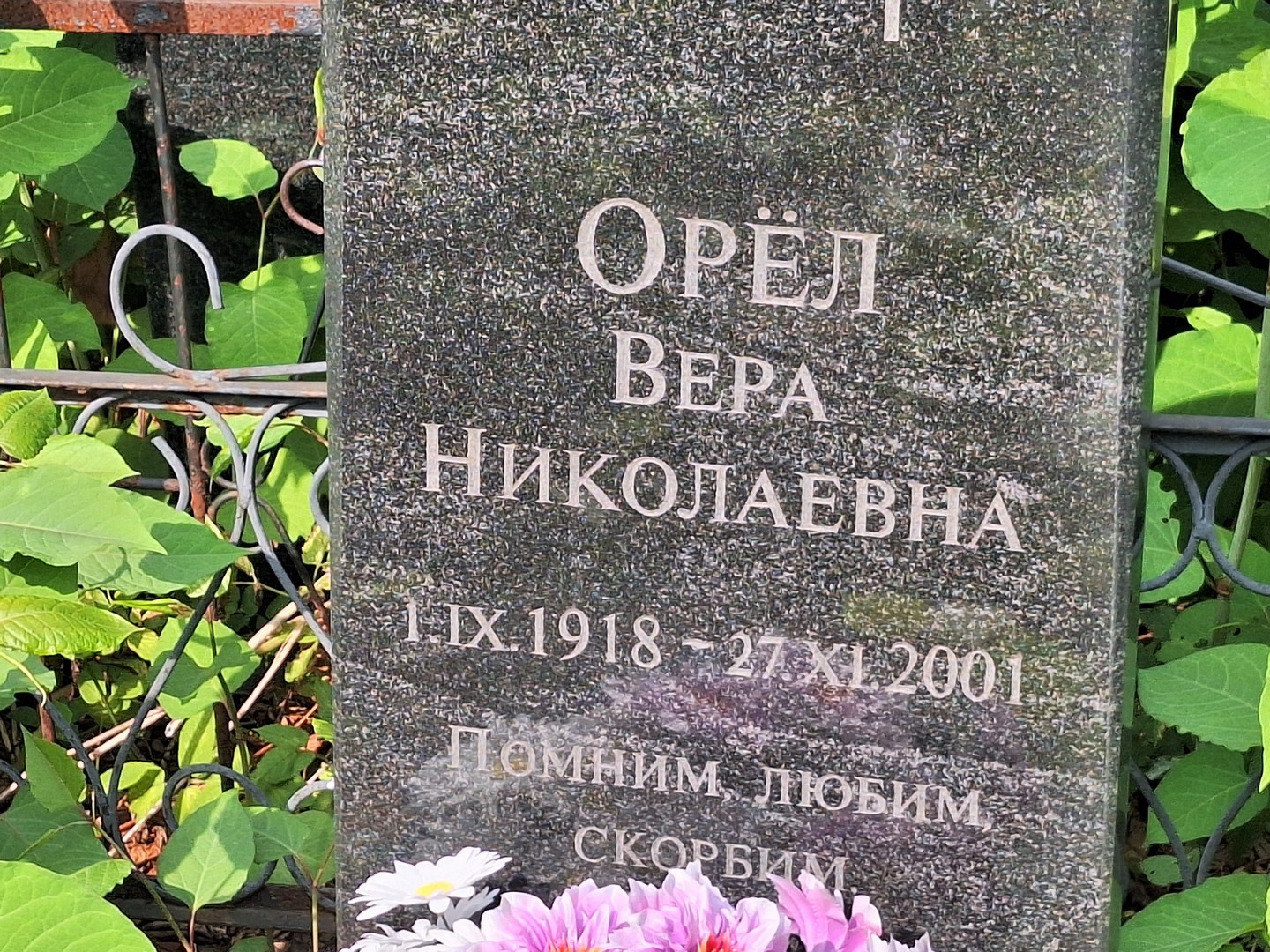 Орел