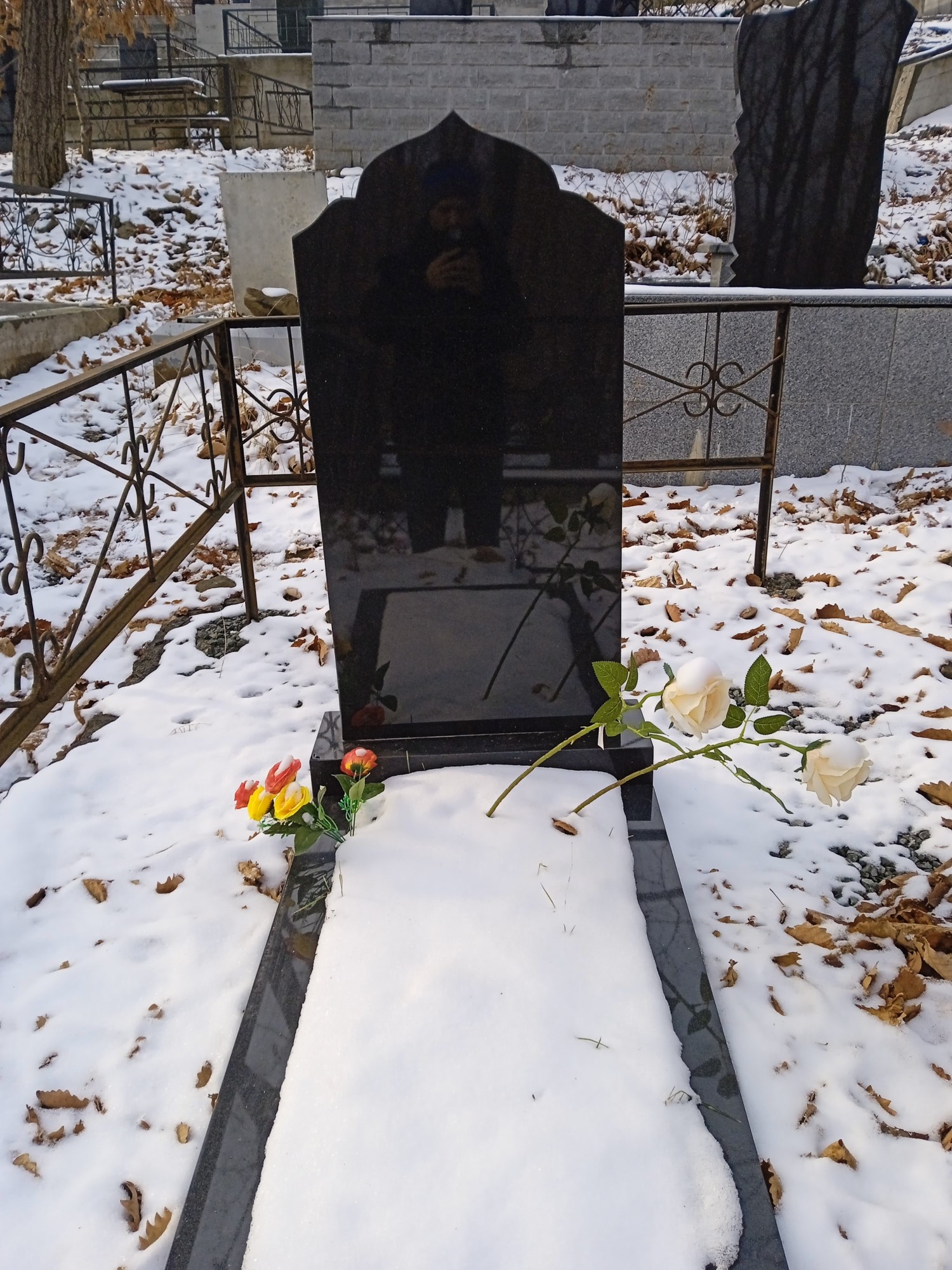 Ким Ольга