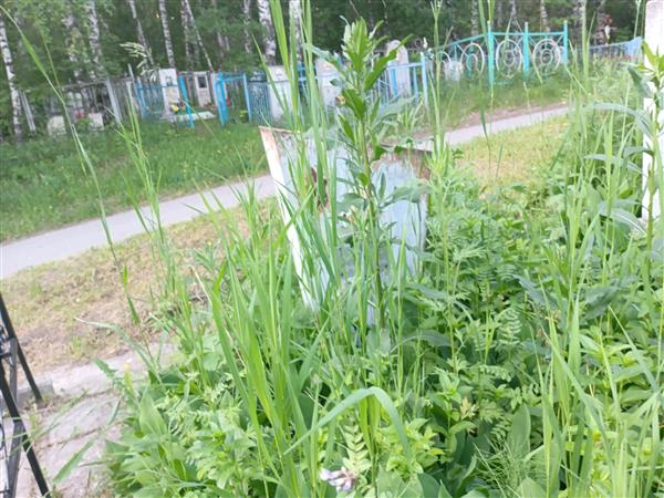 Анисимова Татьяна Ивановна