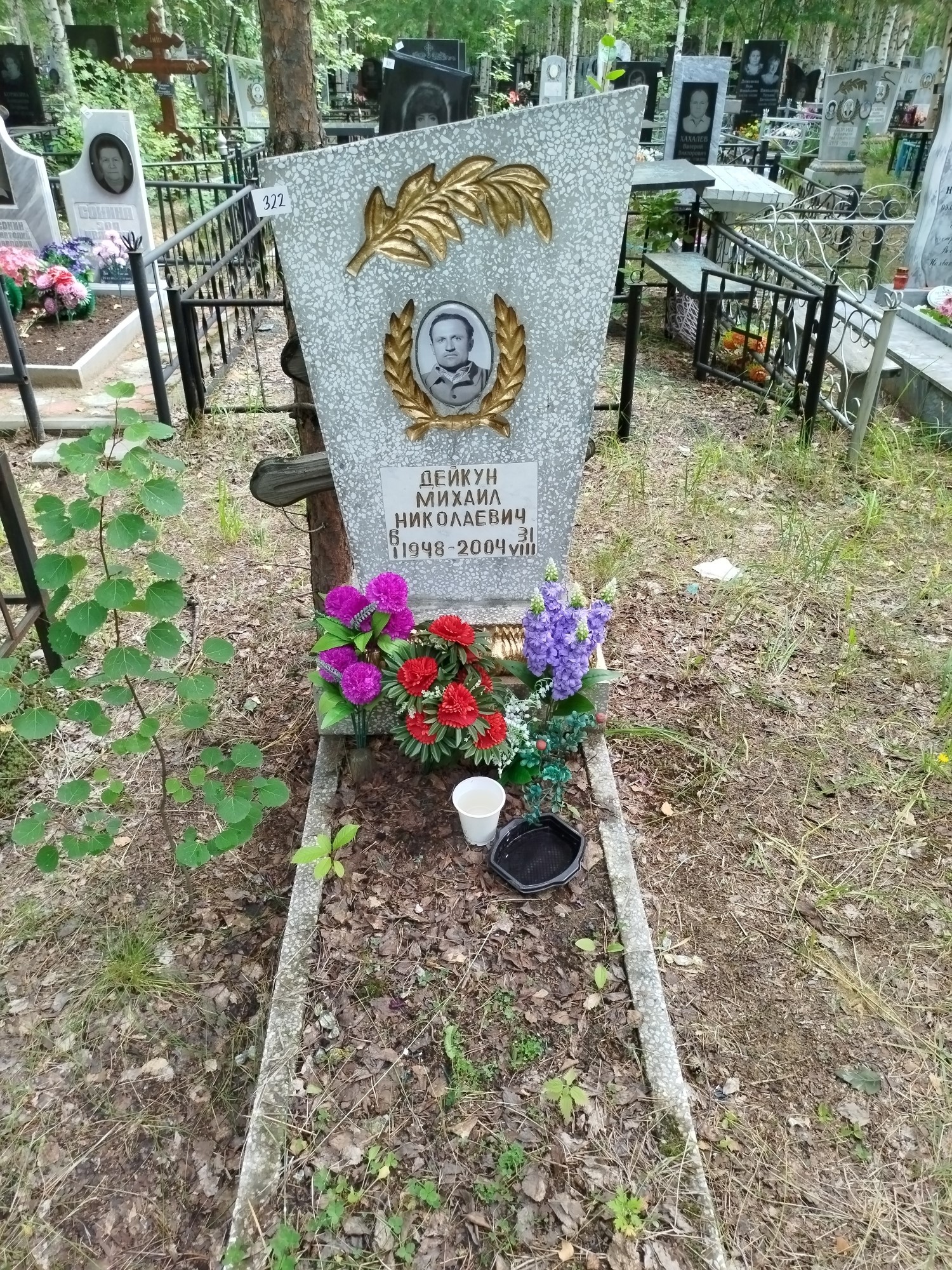 Дейкун Михаил Николаевич