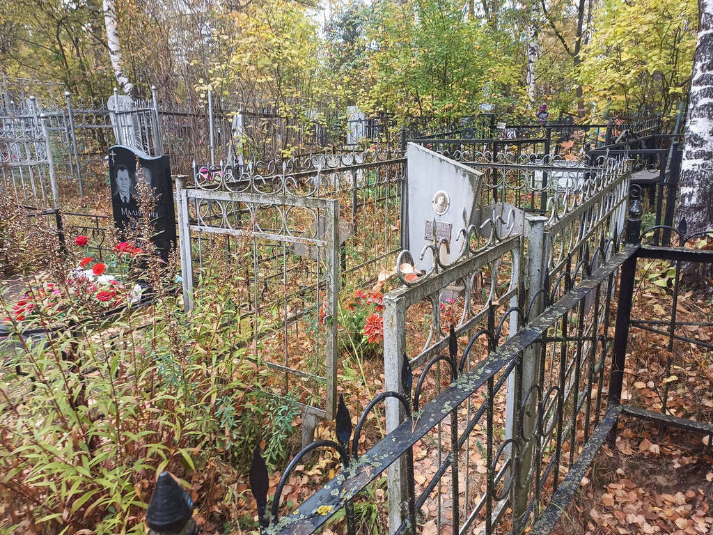 Чикунова Людмила Петровна