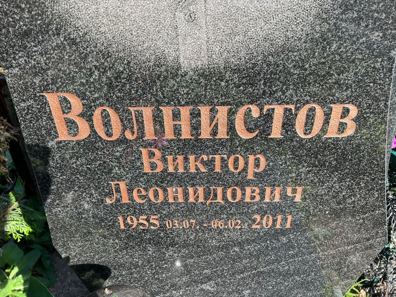 Волнистов