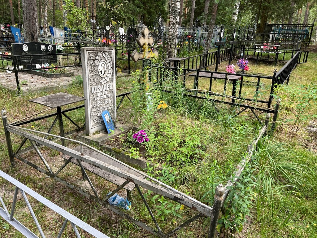Козляев Виктор Тимофеевич