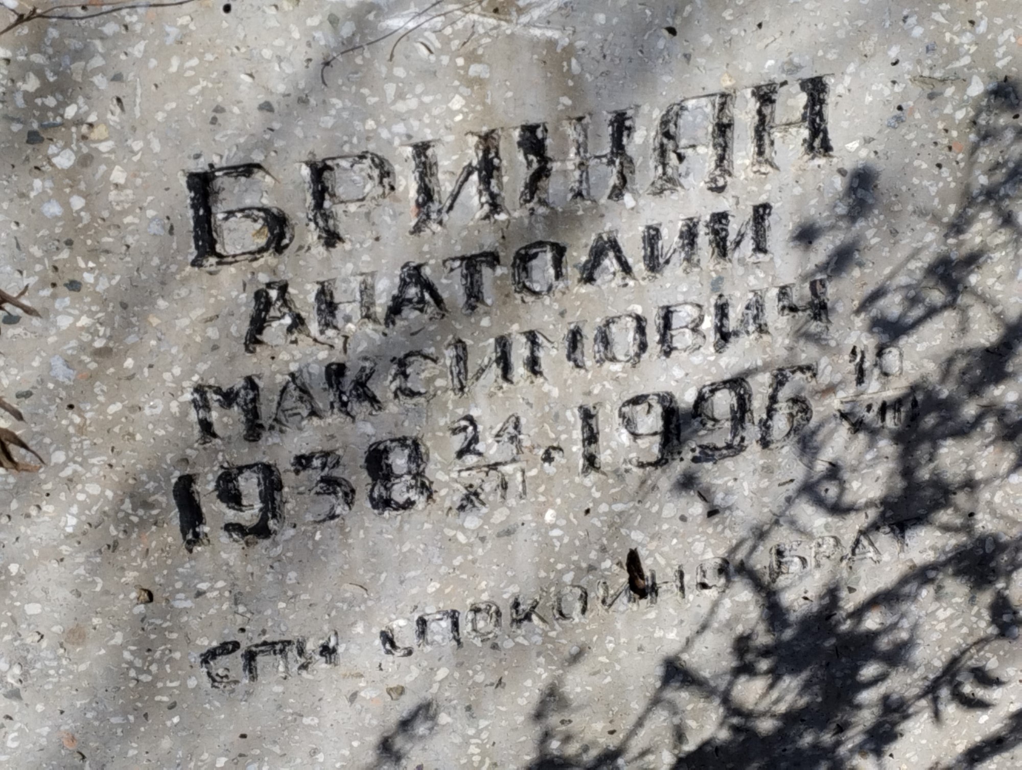 Брижан Анатоли Максимович