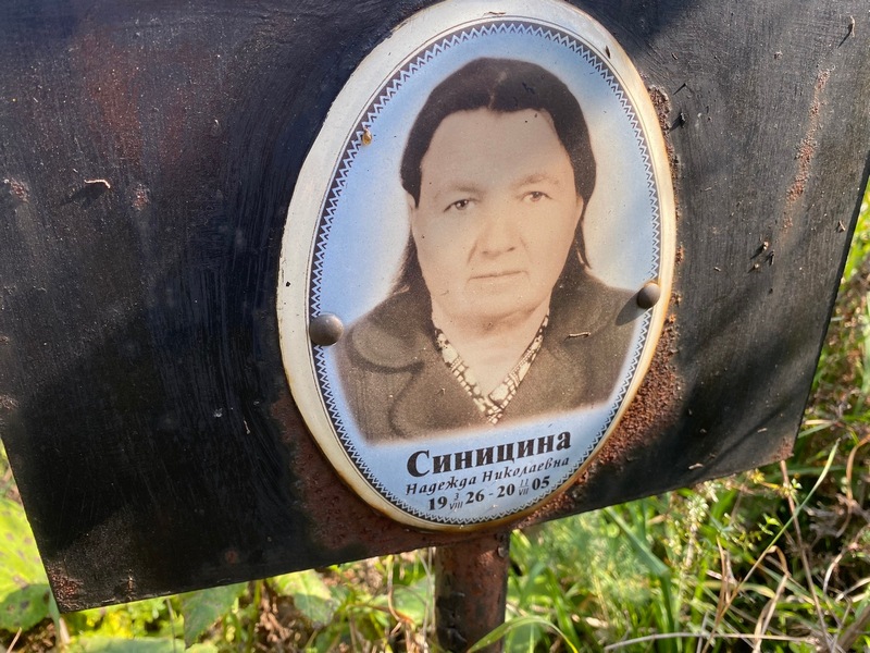 Синицина