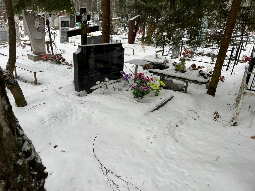 Гришин Павел Алексеевич