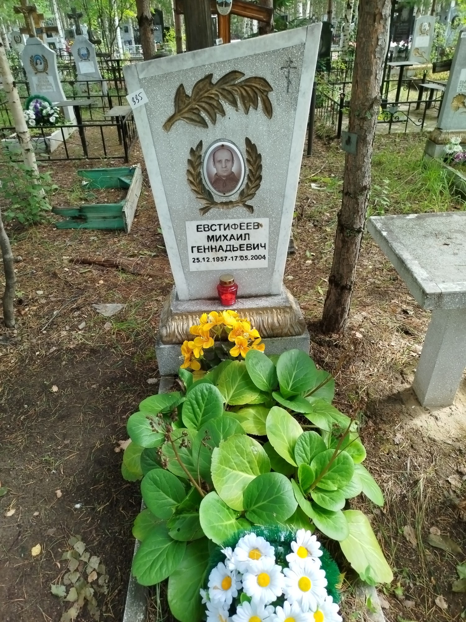 Евстифеев Михаил Геннадьевич