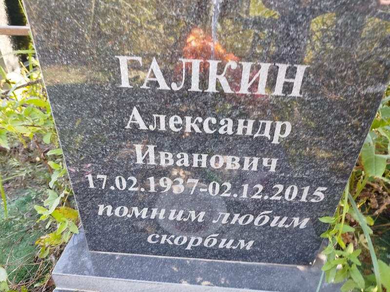Галкин
