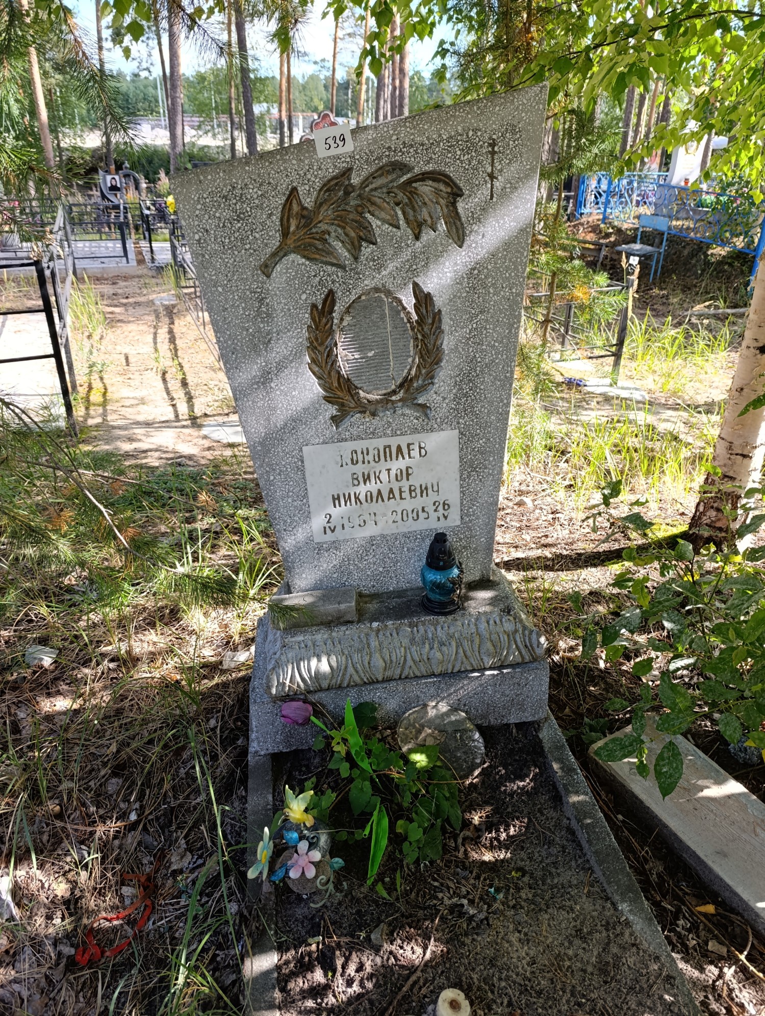Коноплев Виктор Николаевич