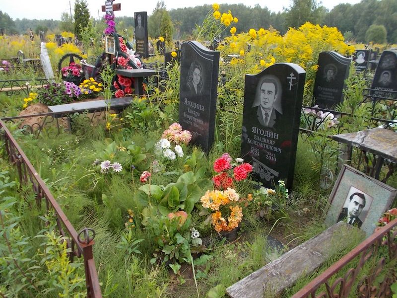 Ягодин Владимир Константинович