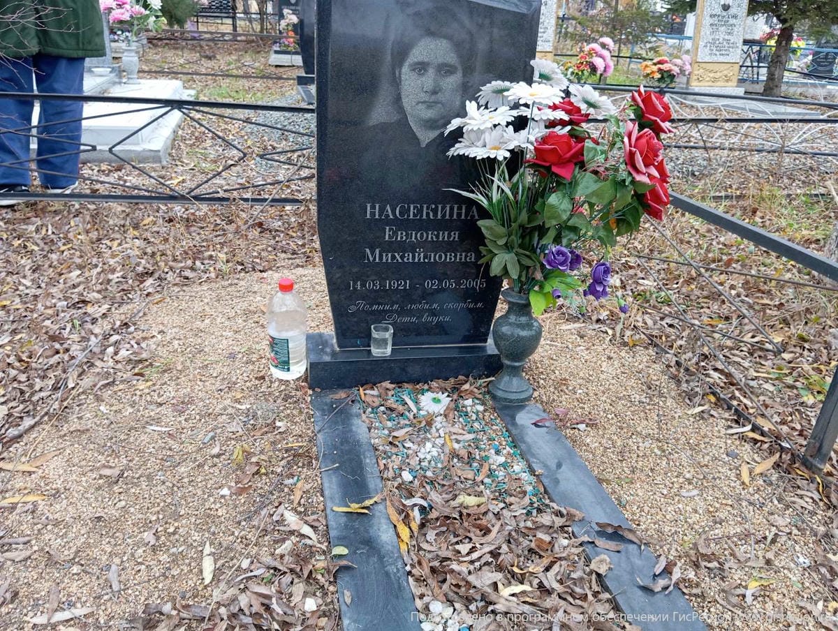 Насекина Евдокия Михайловна