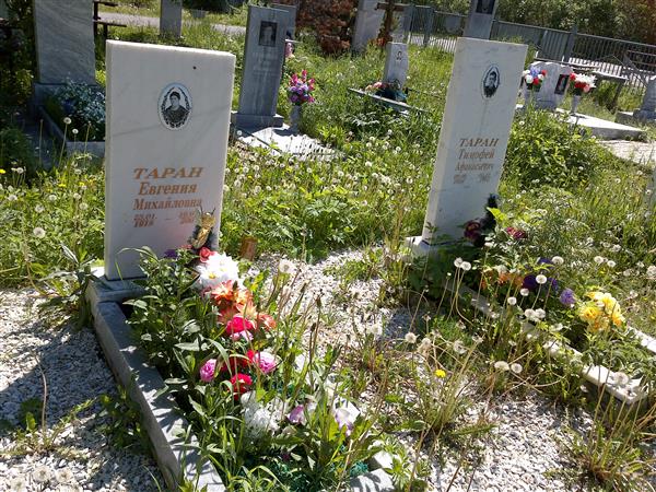 Таран Тимофей Афанасьевич