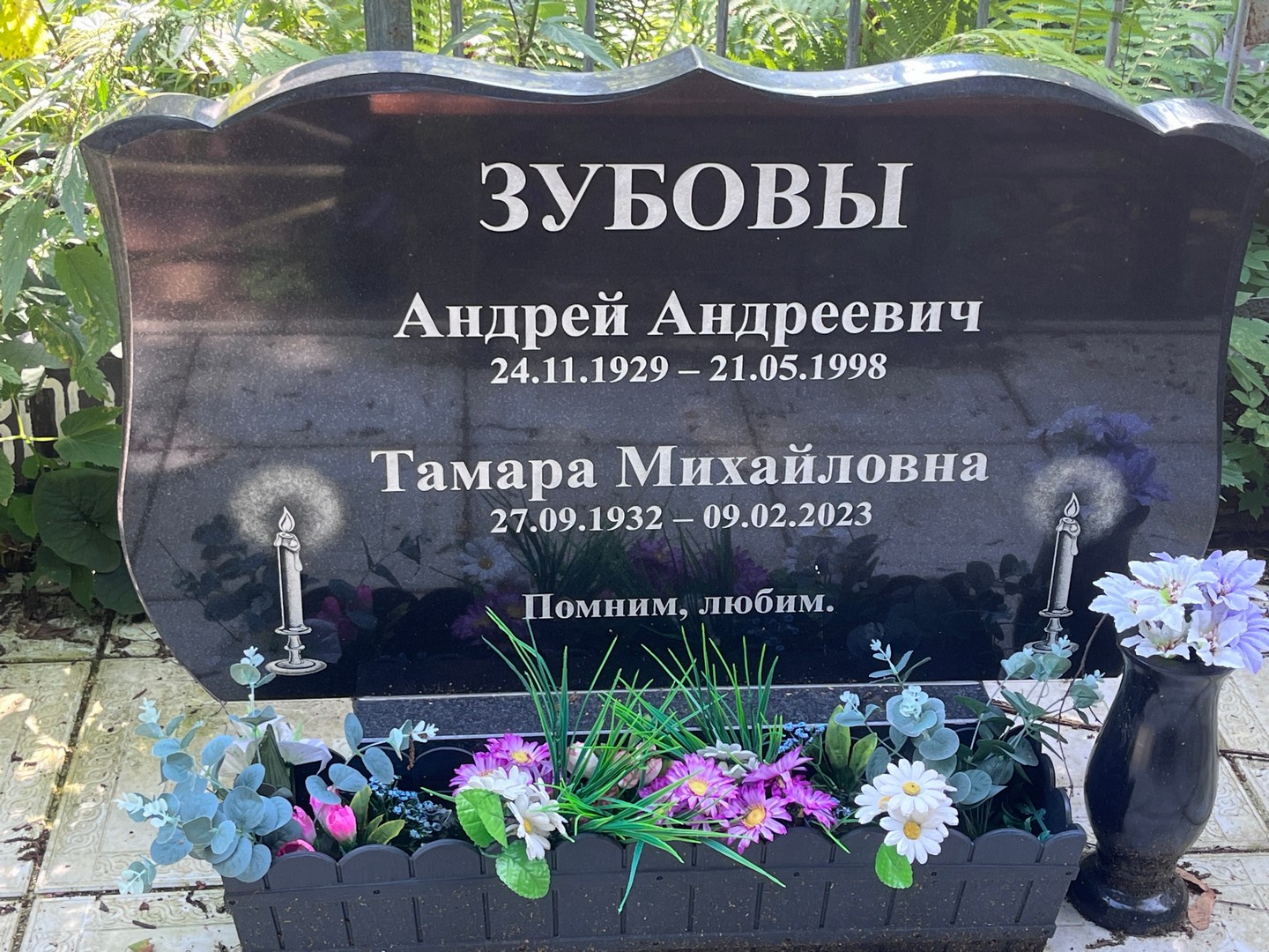 Зубов