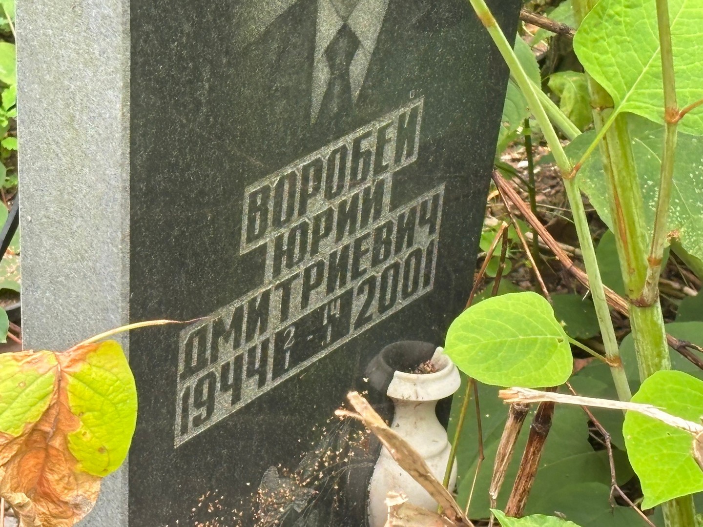 Воробей