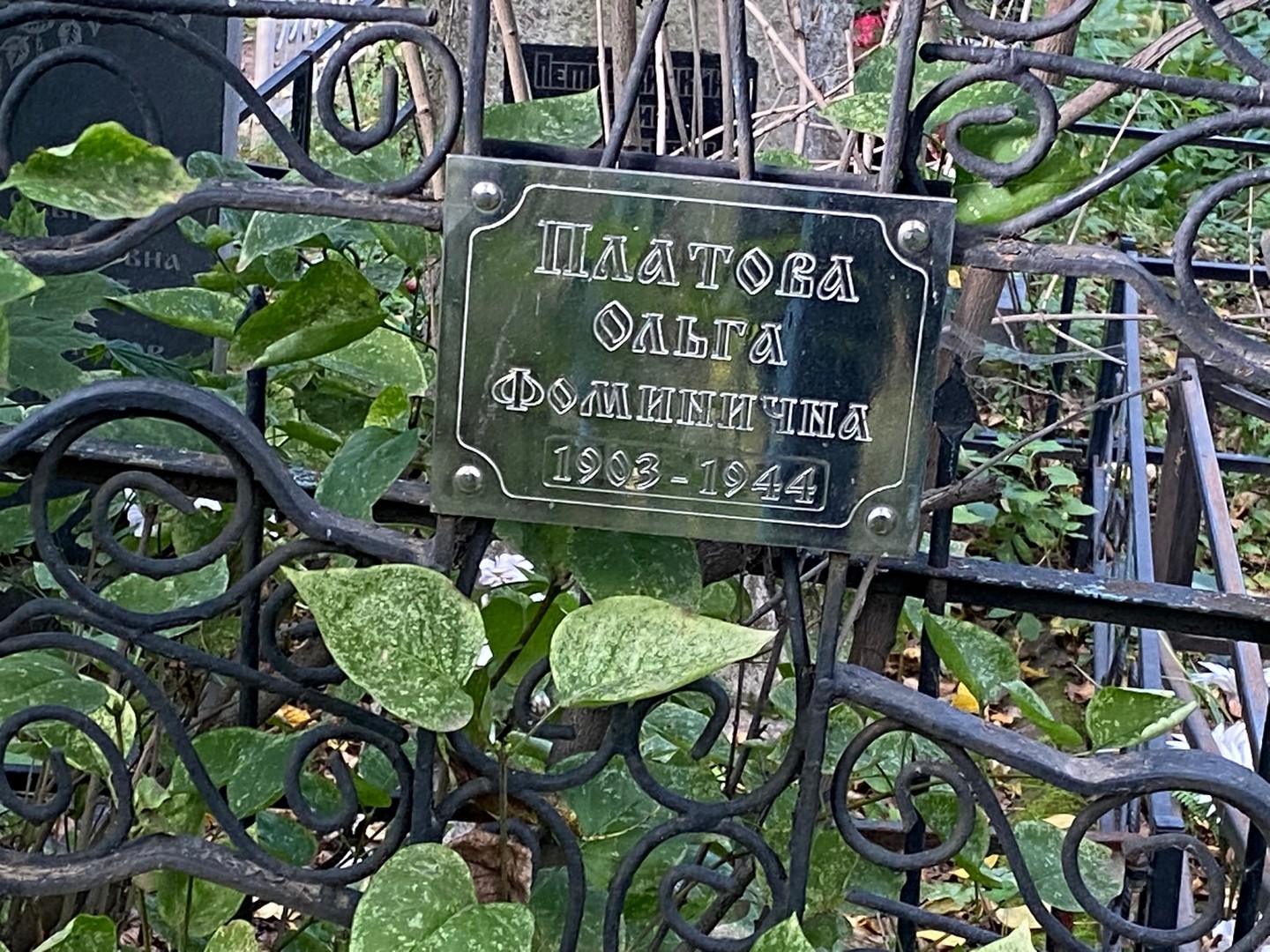 Платова