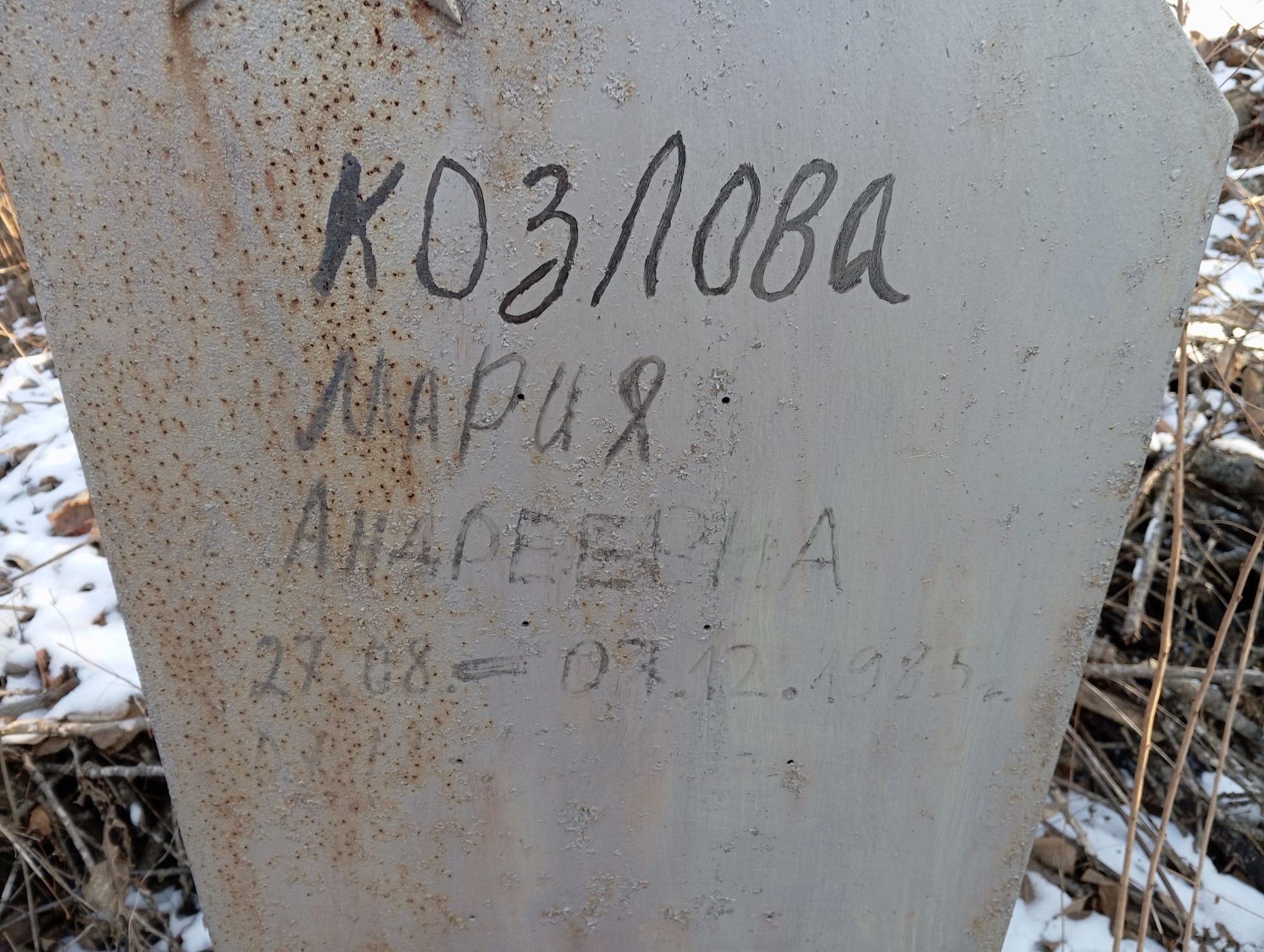 Козлова Мария Андреевна