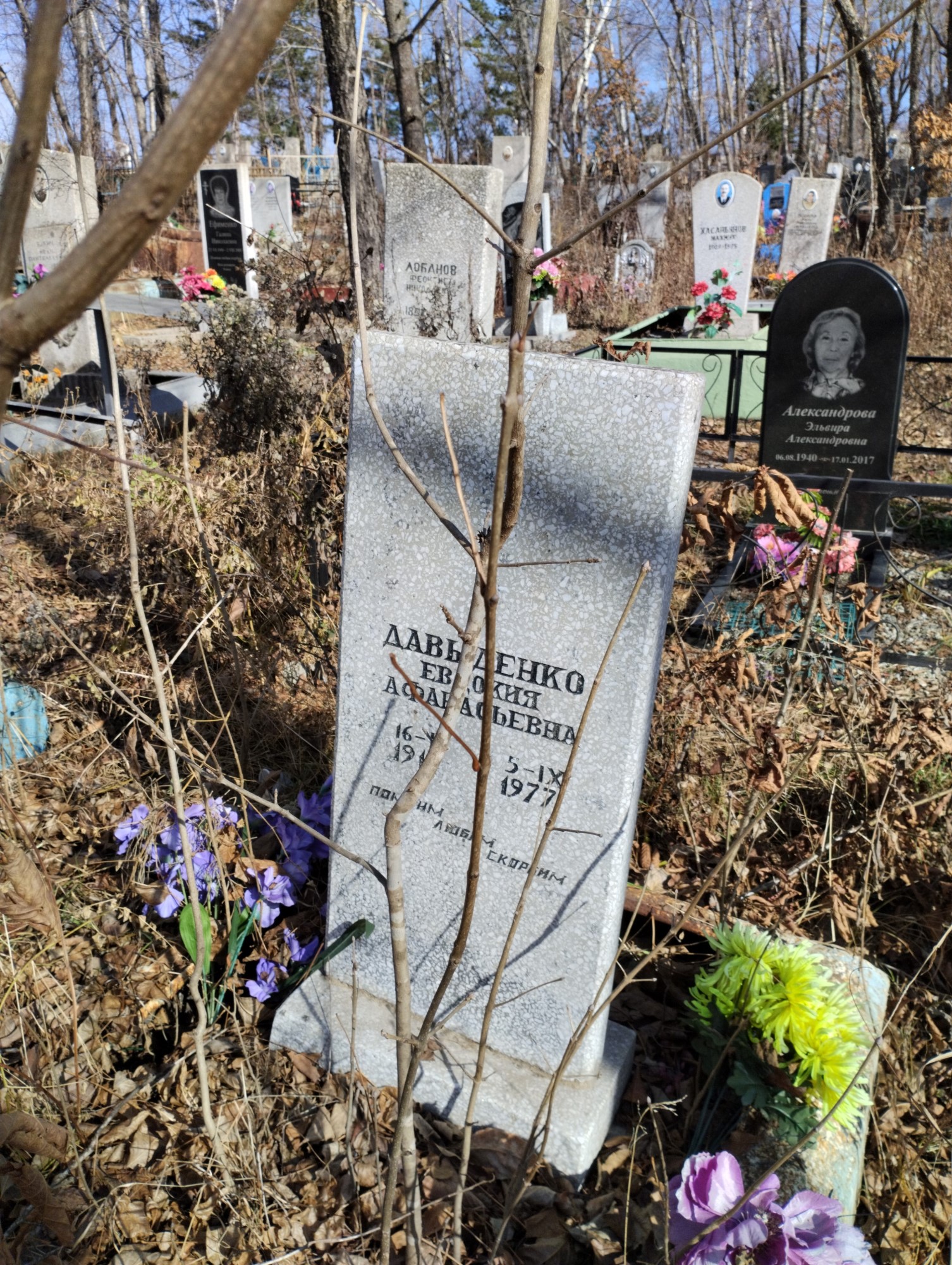 Давыденко Евдокия Афанасьевна