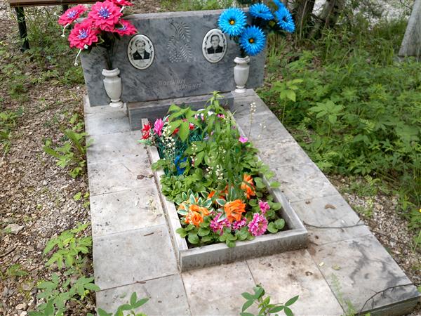 Вялов Андрей Александрович