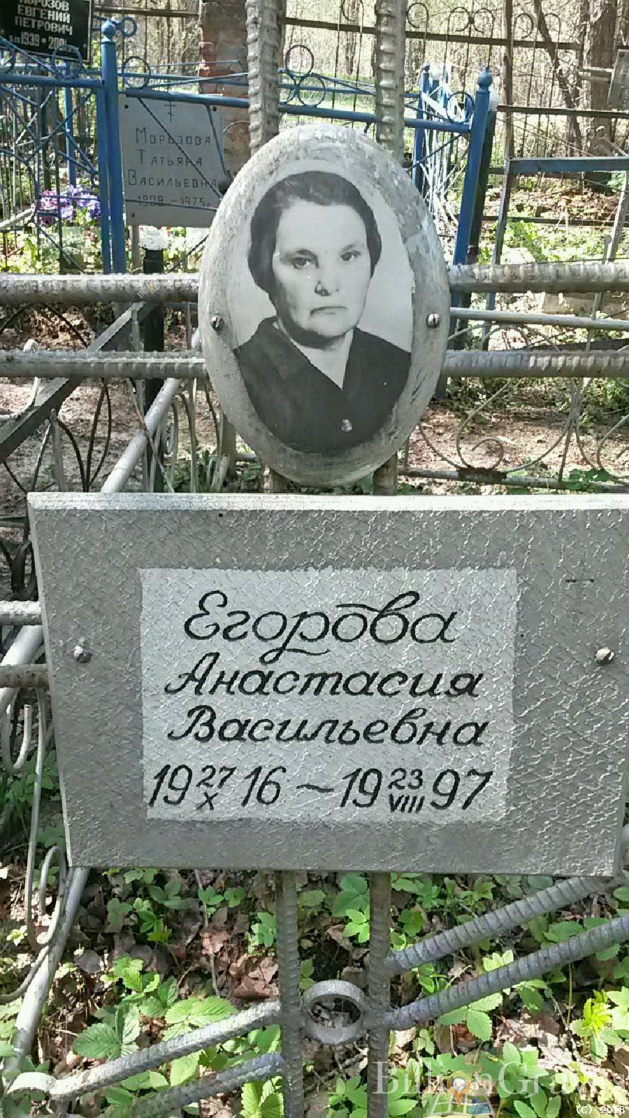 егорова анастасия васильевна