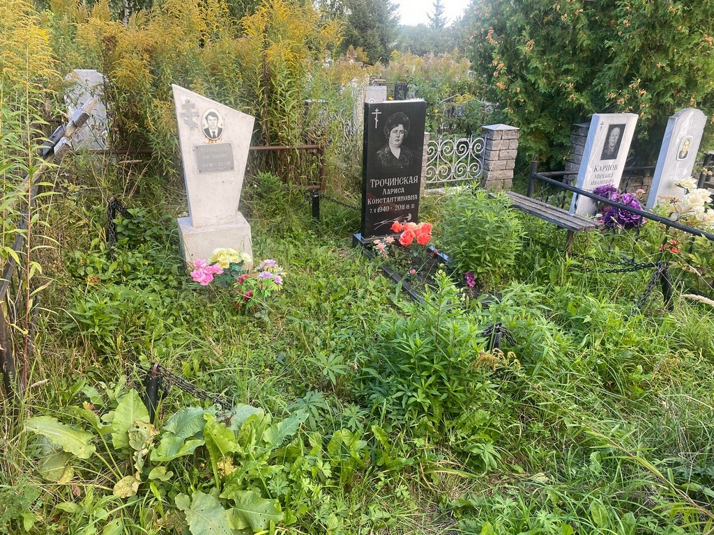 Трочинский Олег Павлович