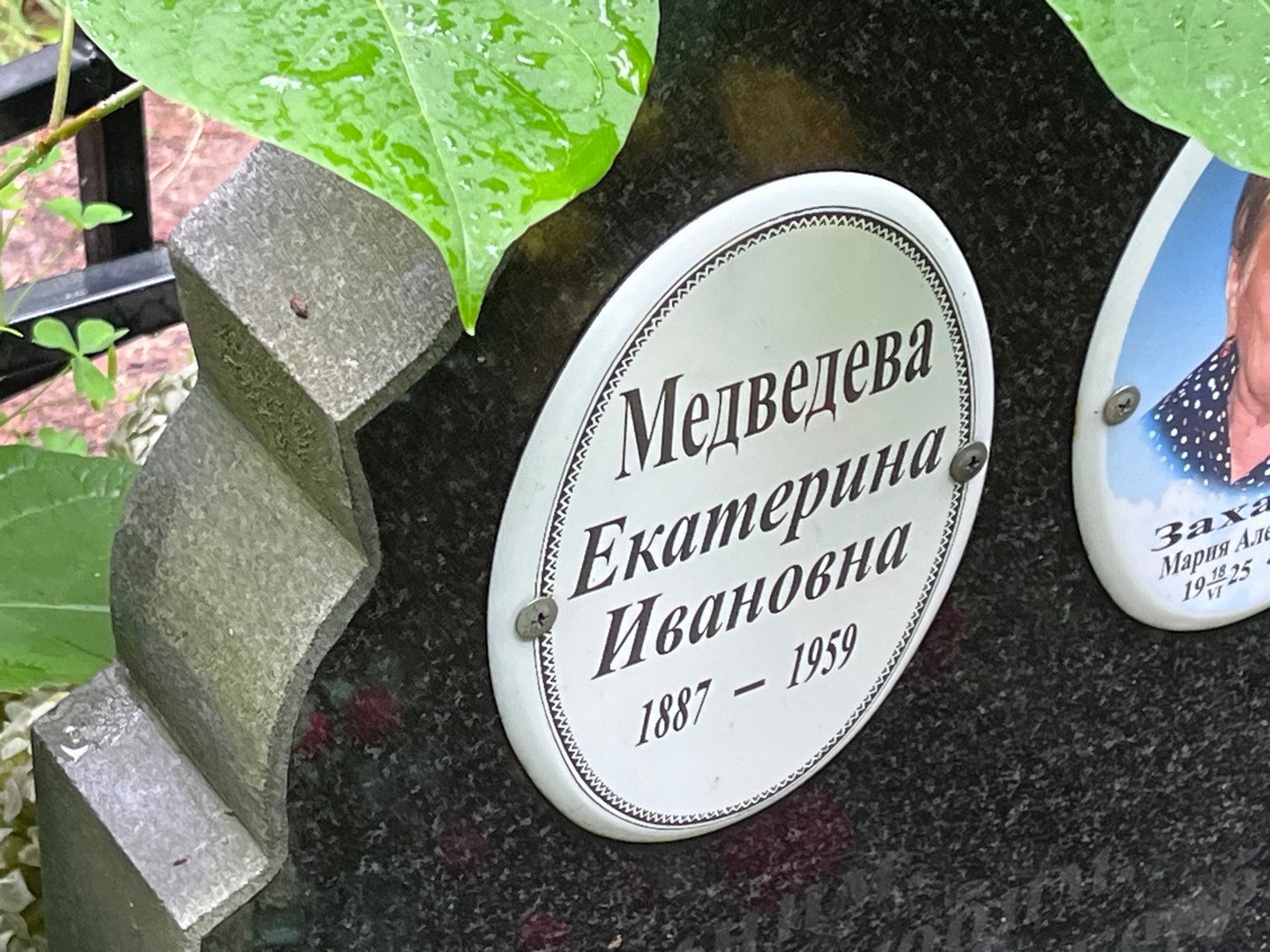 Медведева