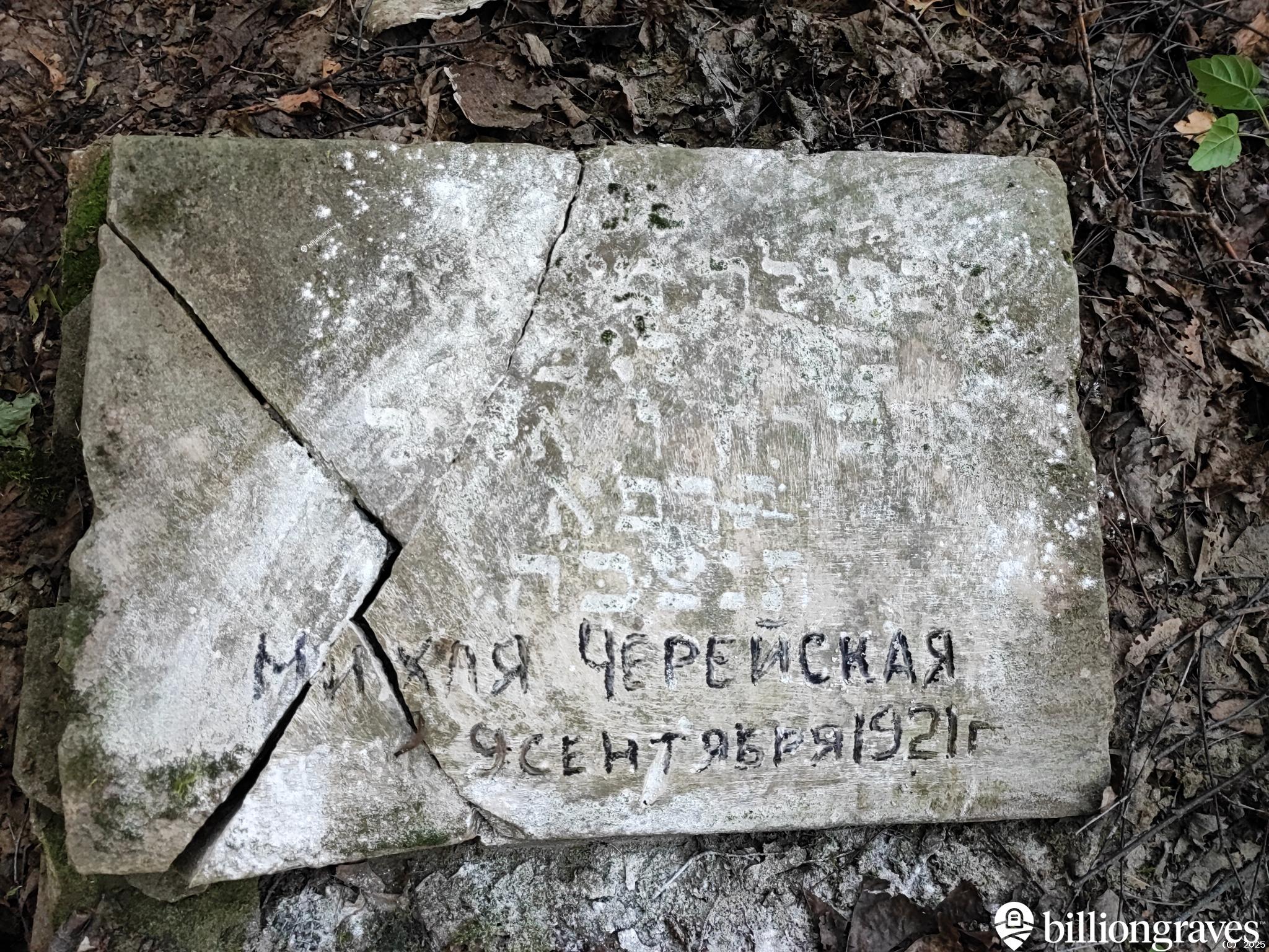 Черейская Михля
