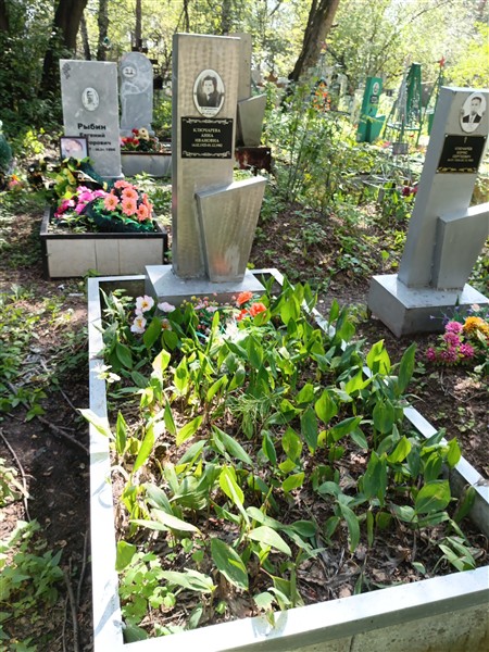 Ключарева Анна Ивановна