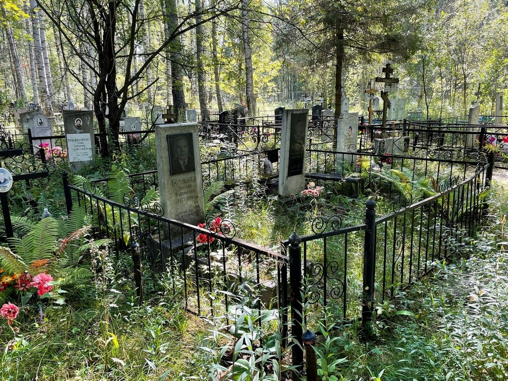 Борнышев Николай Васильевич