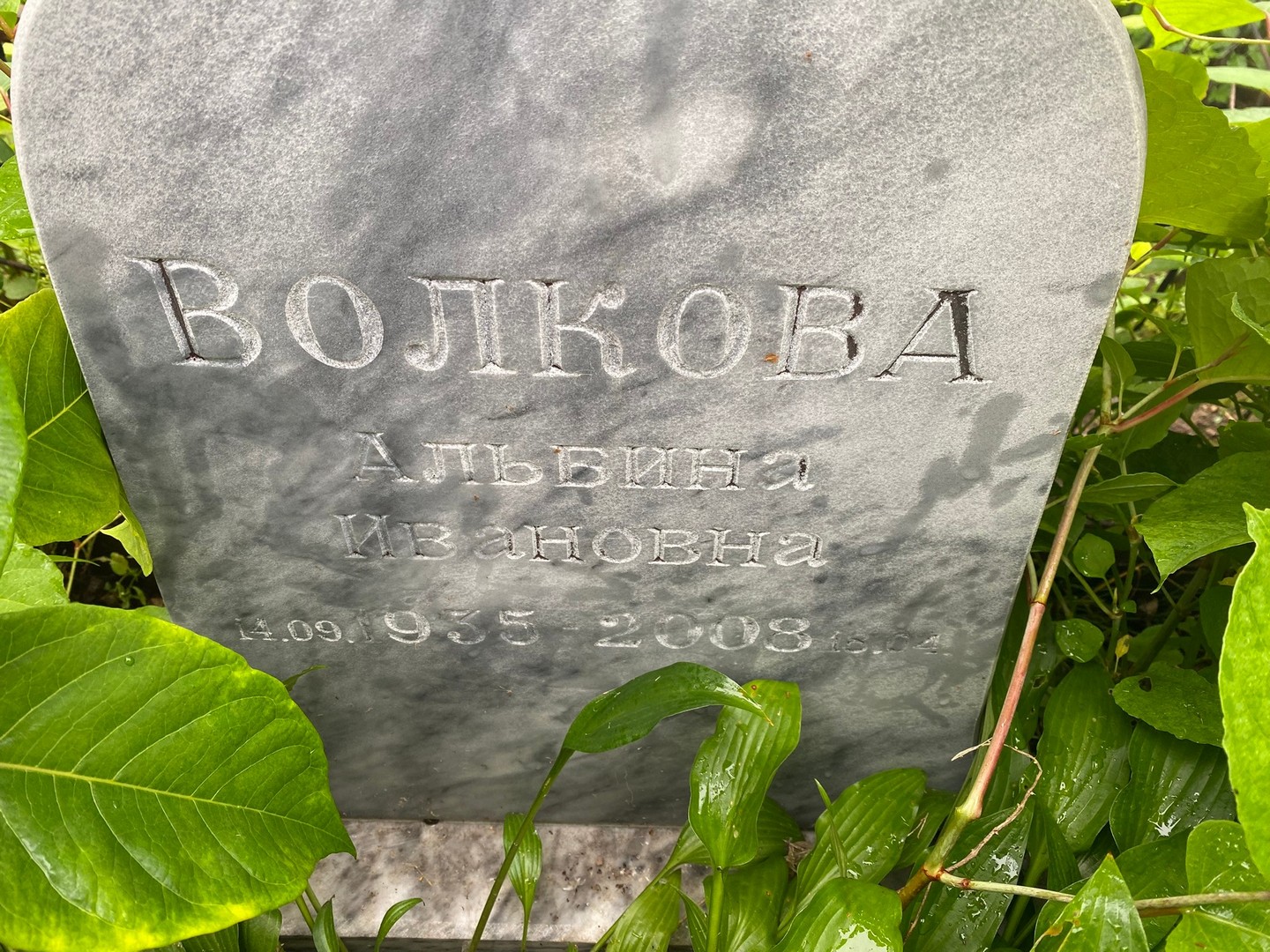 Альбина Волкова Ивановна