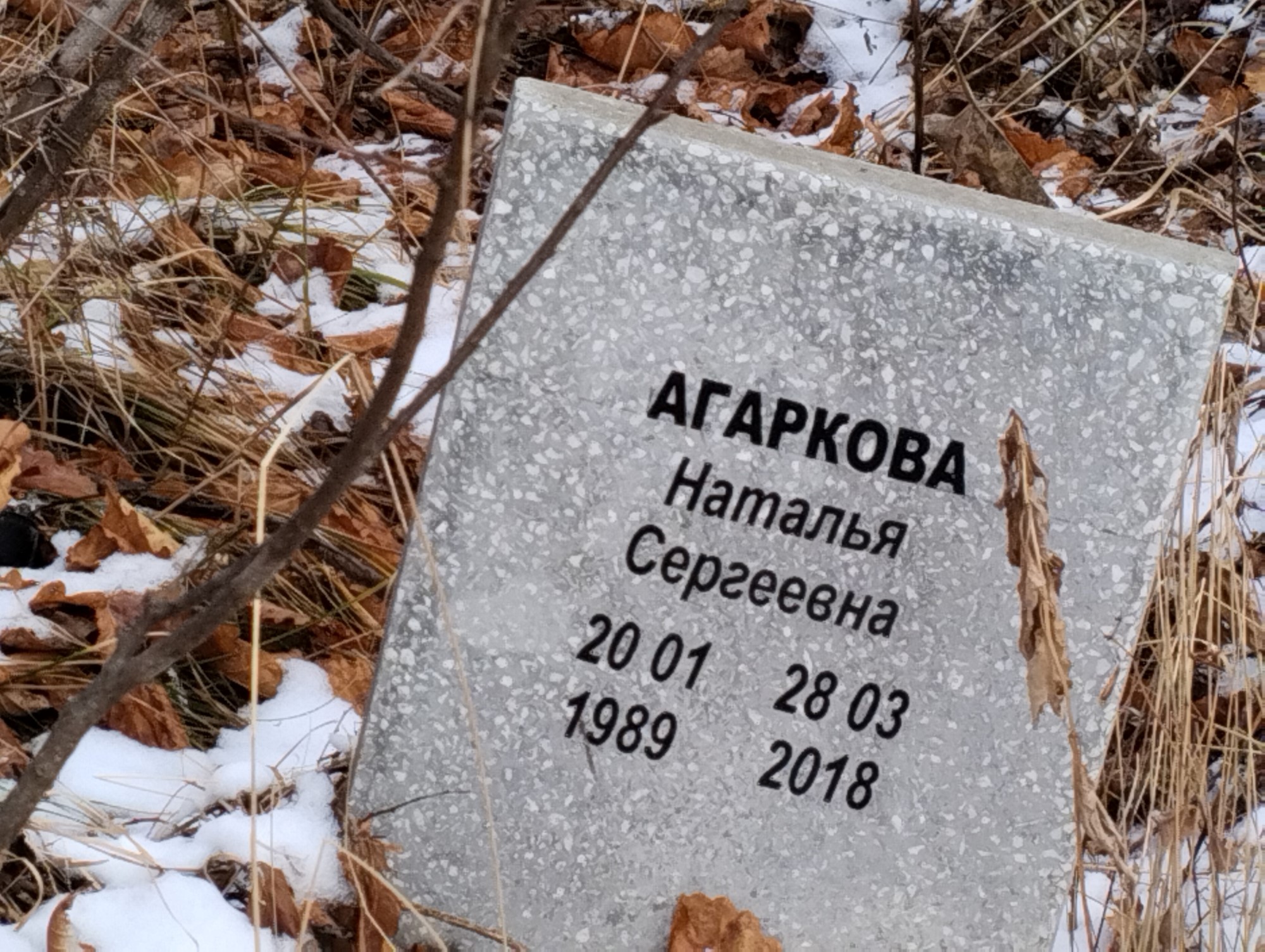 Агаркова Наталья Сергеевна