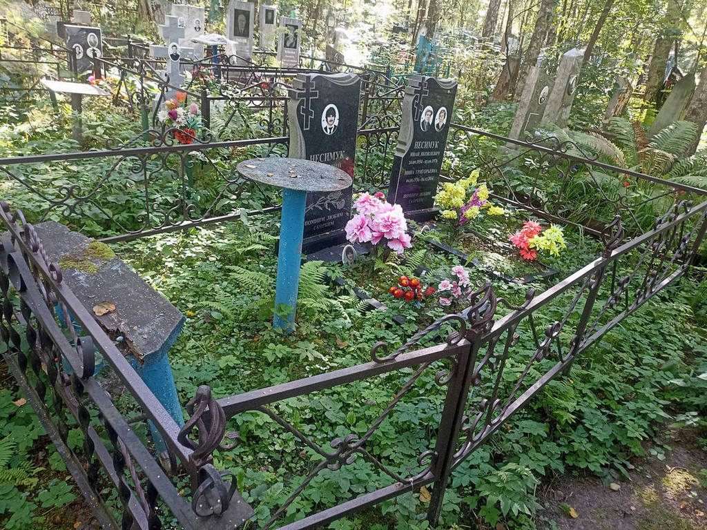 Несимук Григорий Иванович